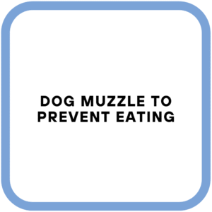 Dog Muzzle To Prevent Eating