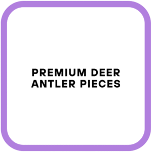 Premium Deer Antler Pieces