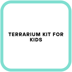 Terrarium Kit For Kids