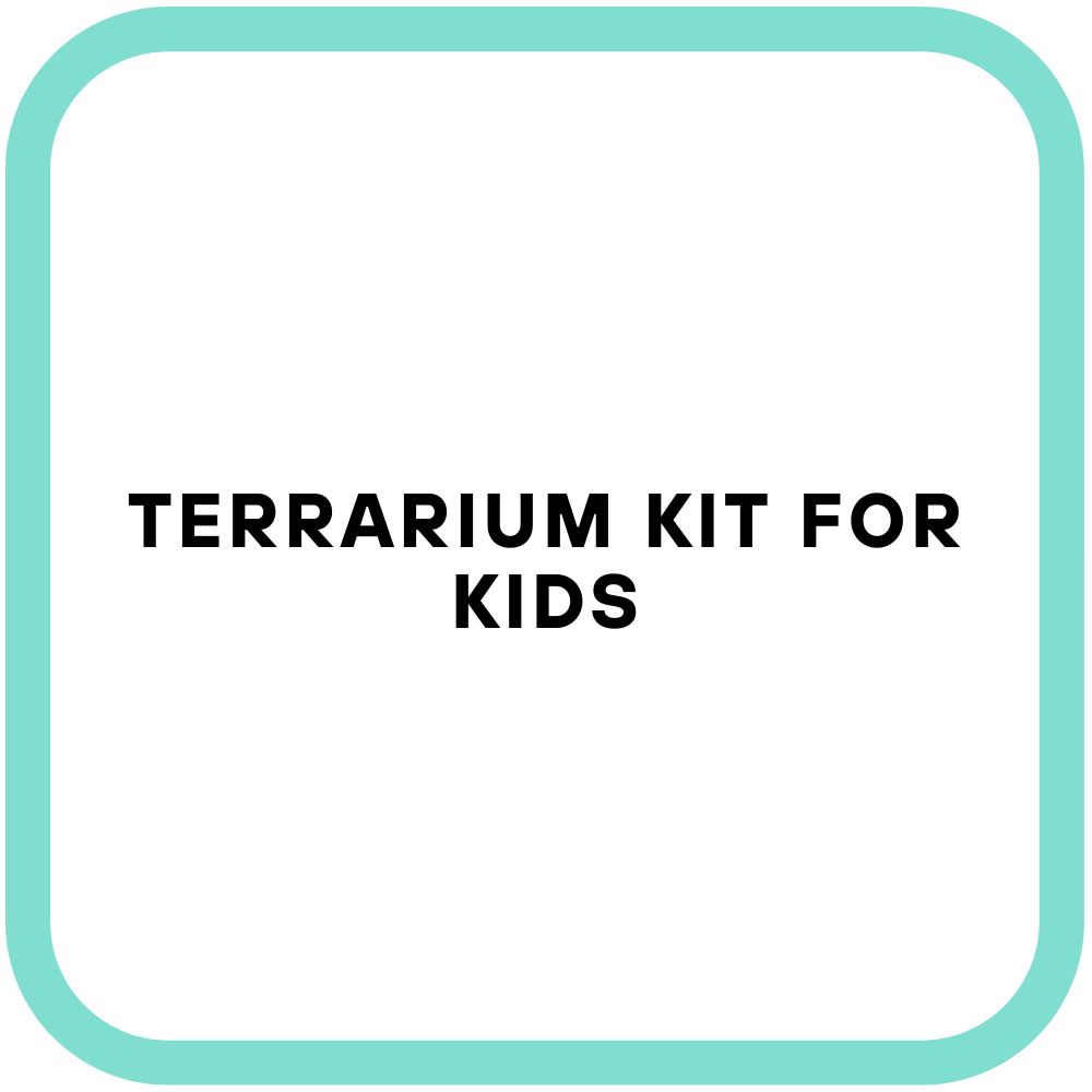 Terrarium Kit For Kids