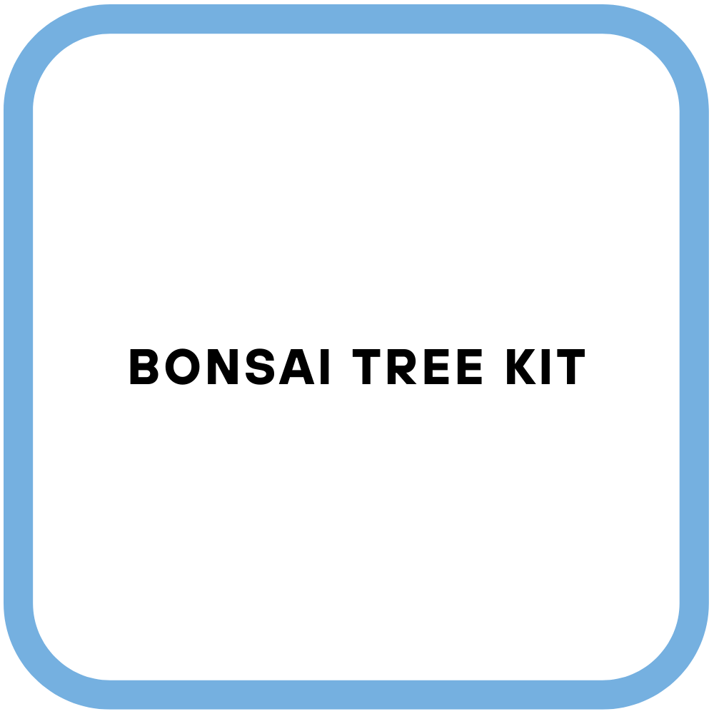 Bonsai Tree Kit