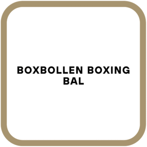 Boxbollen Boxing Bal