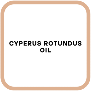 Cyperus Rotundus Oil