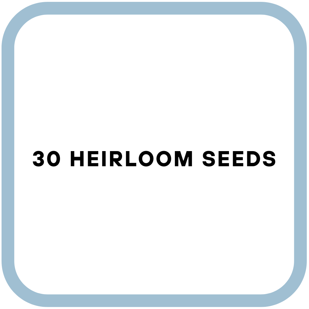30 Heirloom Seeds
