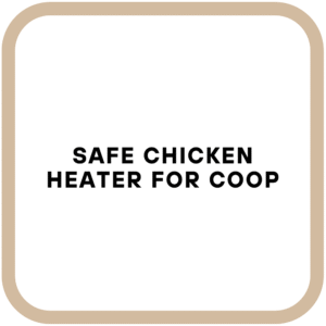 Safe Chicken Heater for Coop