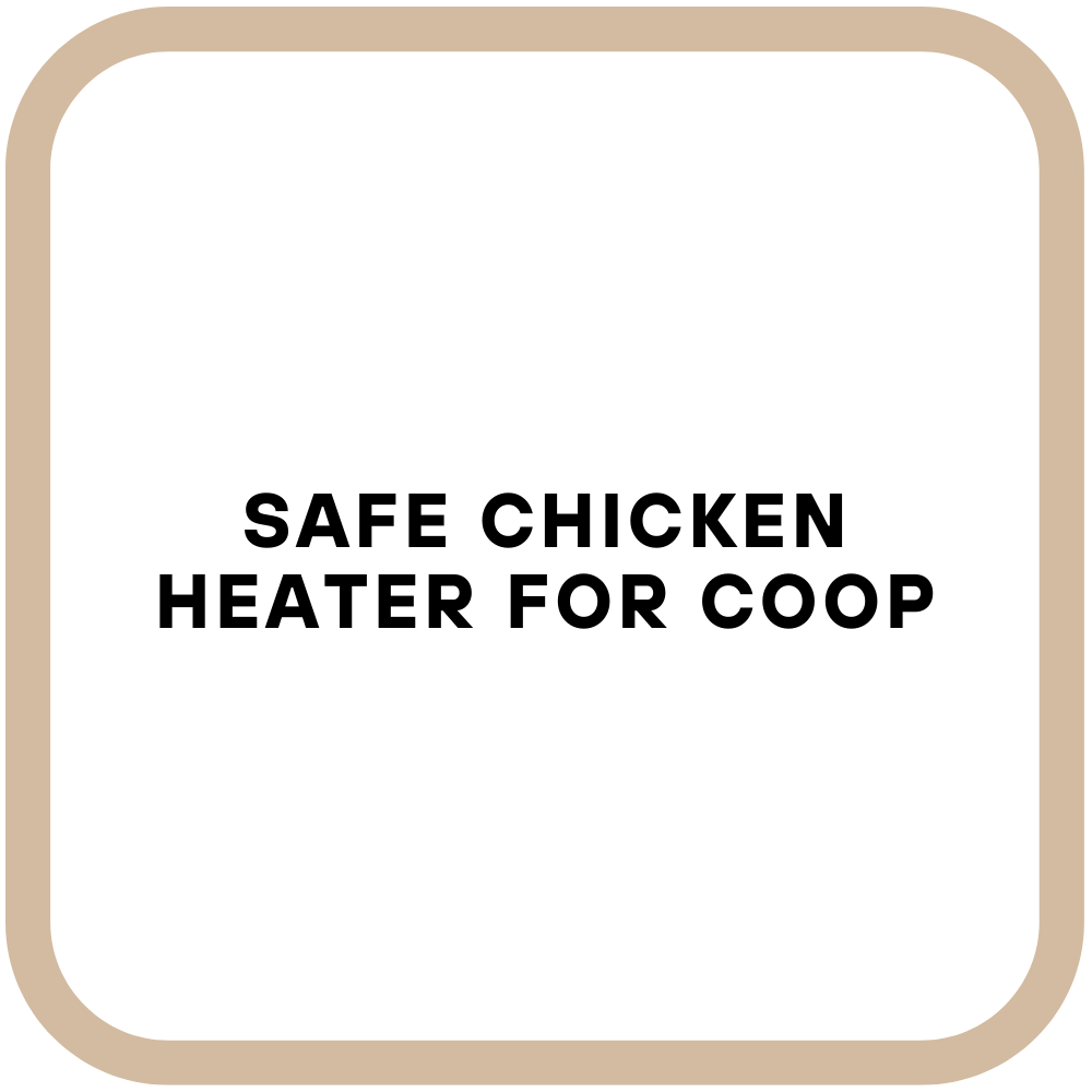 Safe Chicken Heater for Coop