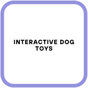 Interactive Dog Toys