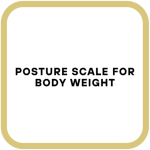Posture Scale for Body Weight