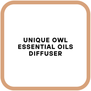 Unique Owl Essential Oils Diffuser