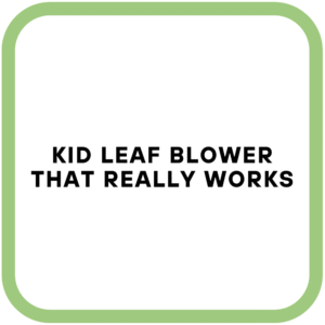 Kid Leaf Blower That Really Works