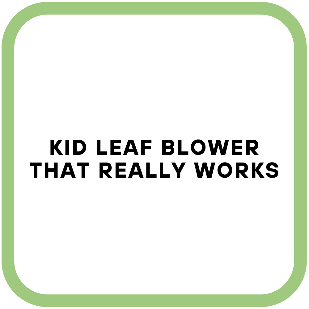 Kid Leaf Blower That Really Works