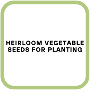 Heirloom Vegetable Seeds for Planting