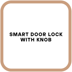 Smart Door Lock with Knob