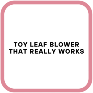 Toy Leaf Blower That Really Works
