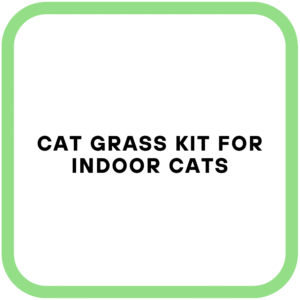 Cat Grass Kit for Indoor Cats