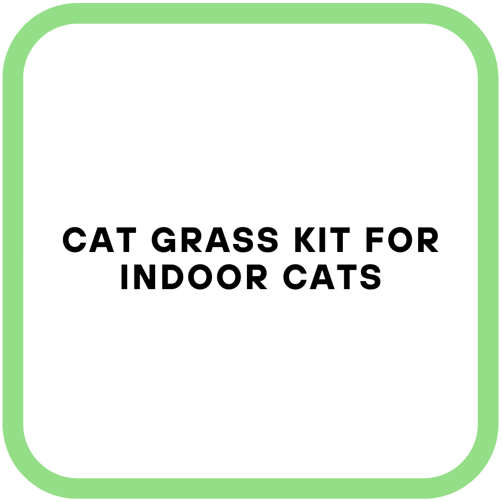 Cat Grass Kit for Indoor Cats