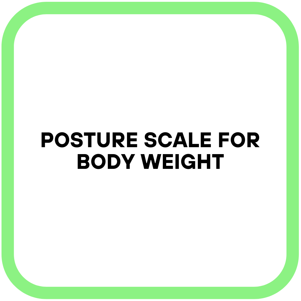 Posture Scale for Body Weight