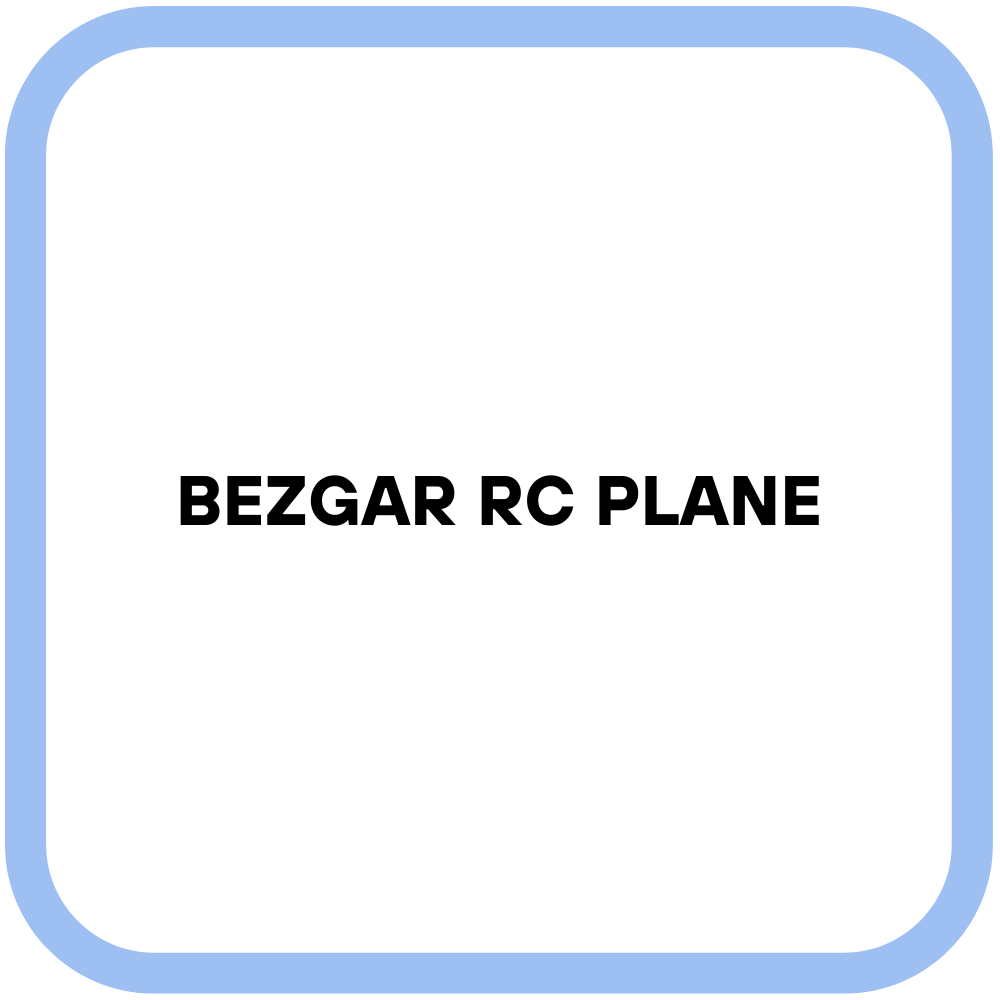 BEZGAR RC Plane