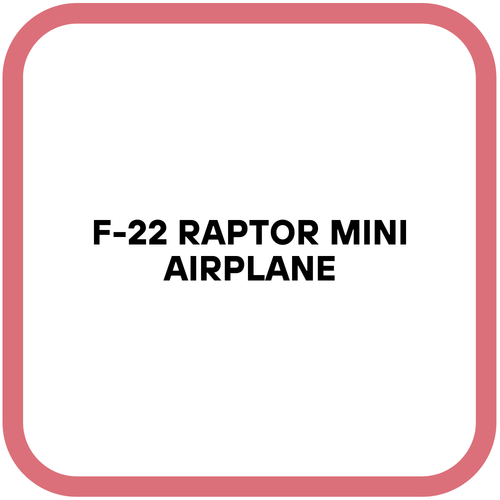 F-22 Raptor Mini Airplane