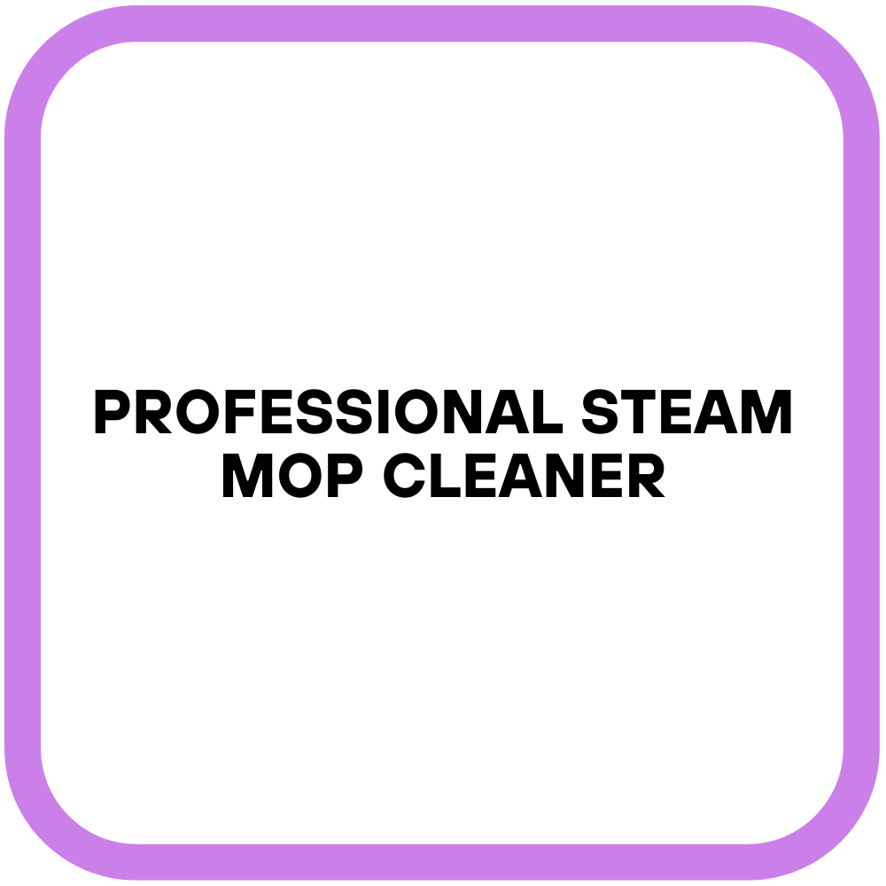 Professional Steam Mop Cleaner