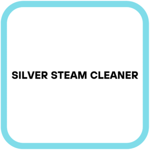 Silver steam cleaner