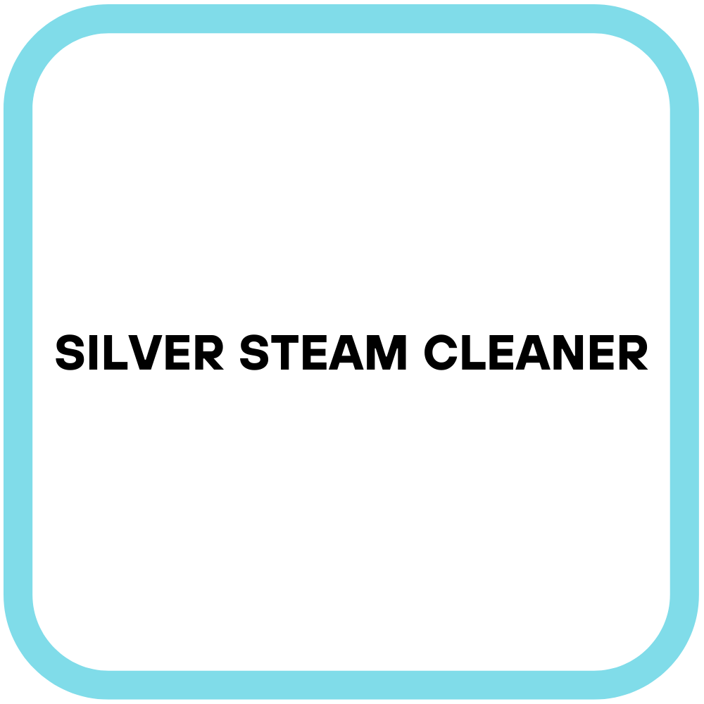 Silver steam cleaner