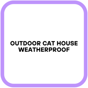 Outdoor Cat House Weatherproof
