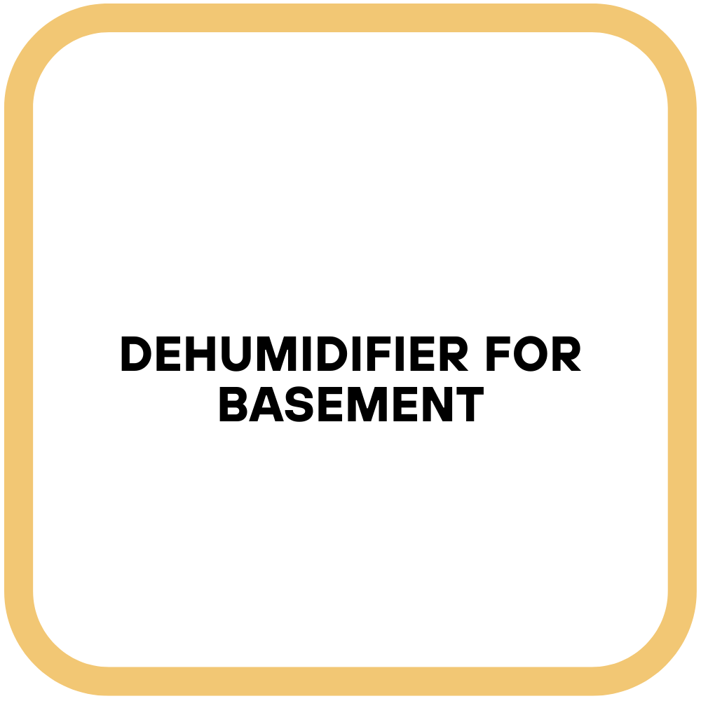 Dehumidifier for Basement