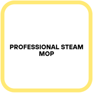 Professional Steam Mop