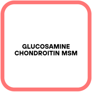 Glucosamine Chondroitin MSM