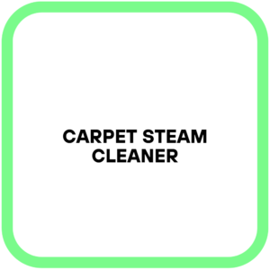 Carpet Steam Cleaner