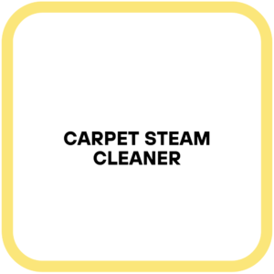 Carpet Steam Cleaner