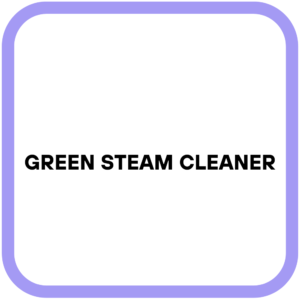 Green steam cleaner