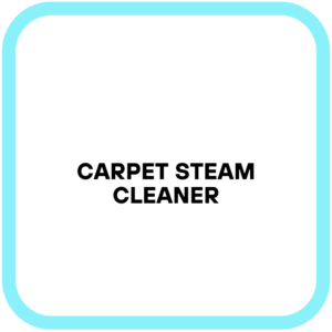 Carpet Steam Cleaner