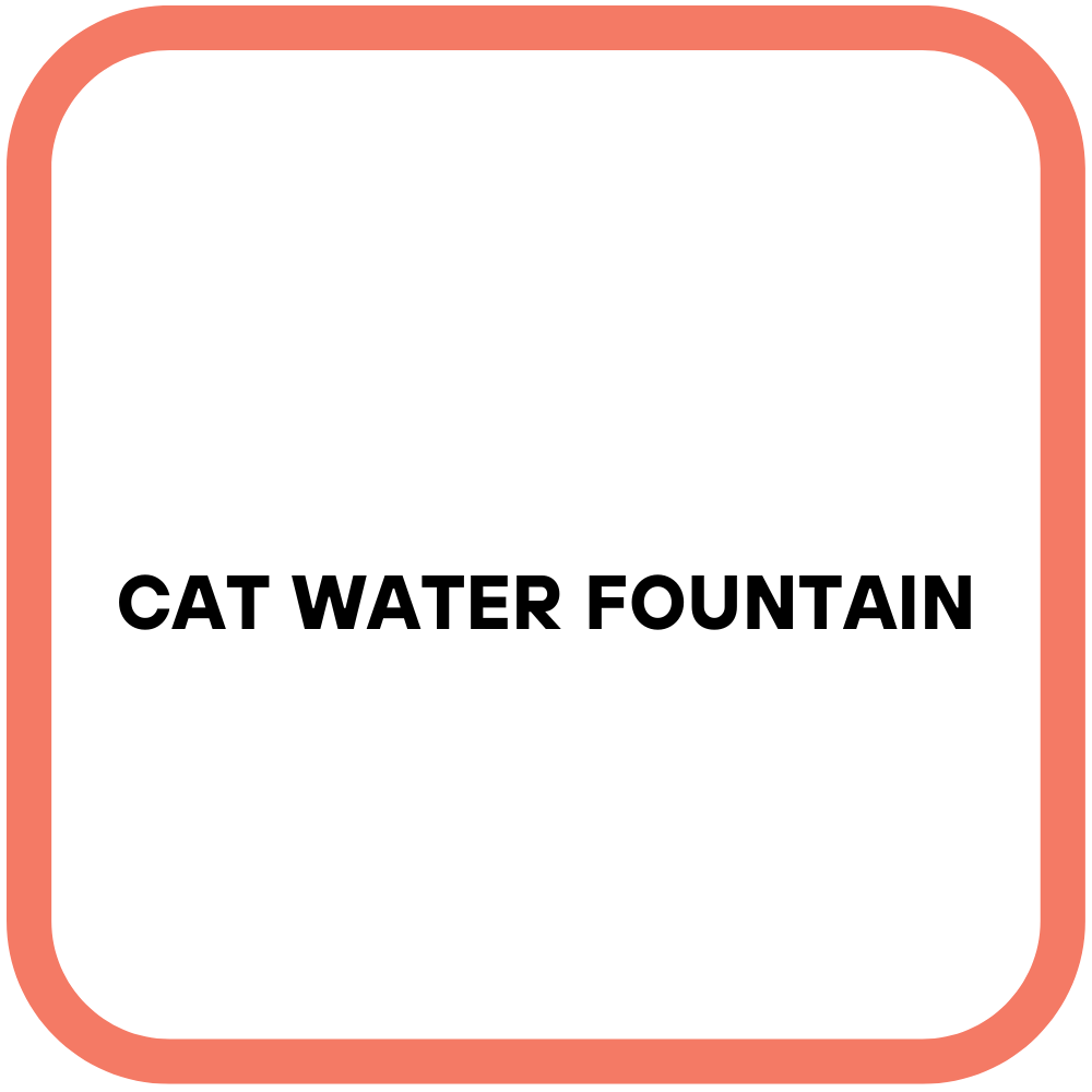 Cat Water Fountain