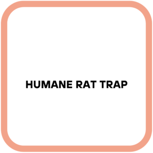 Humane Rat Trap