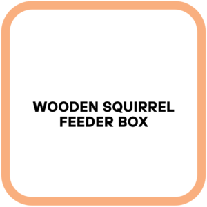 Wooden Squirrel Feeder Box