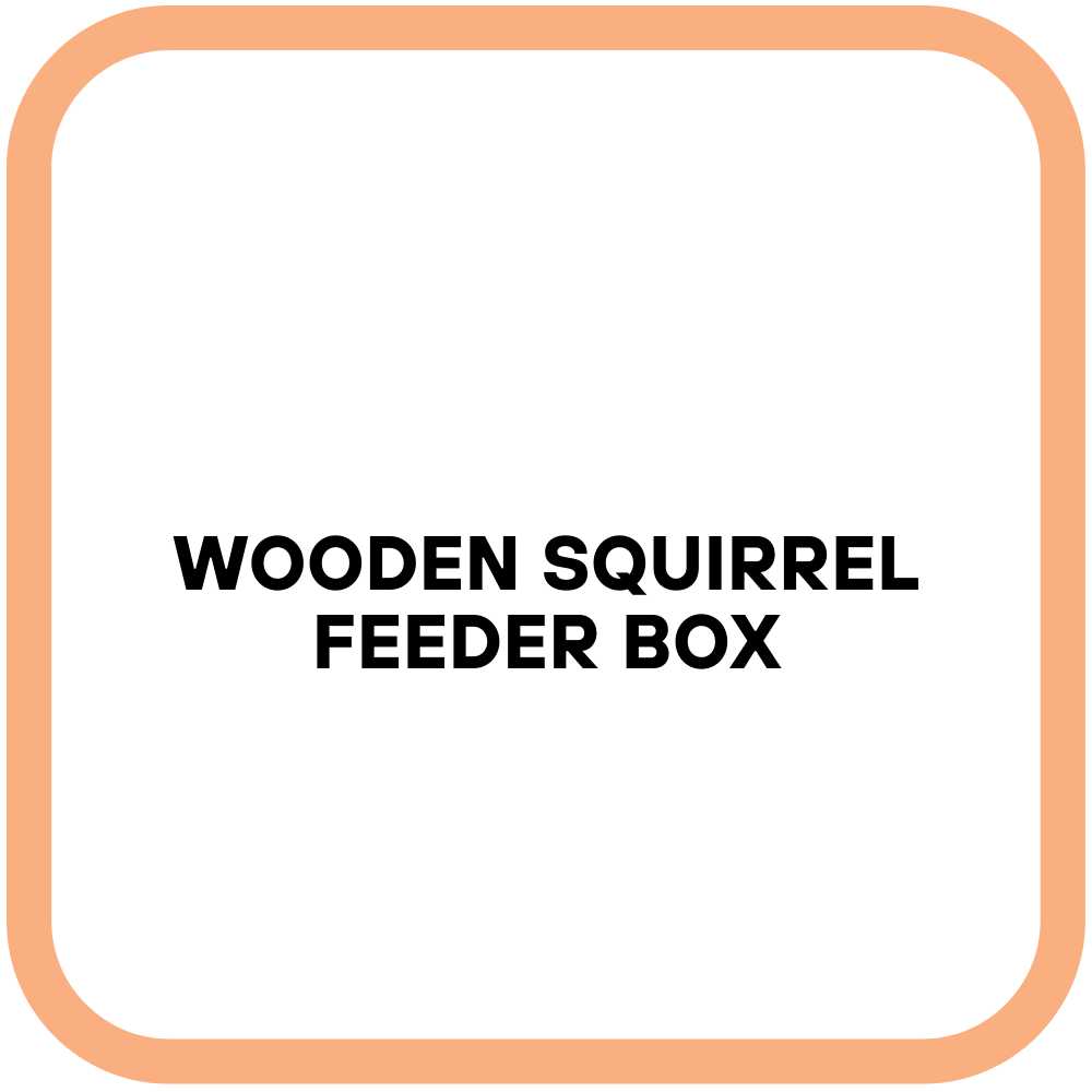 Wooden Squirrel Feeder Box