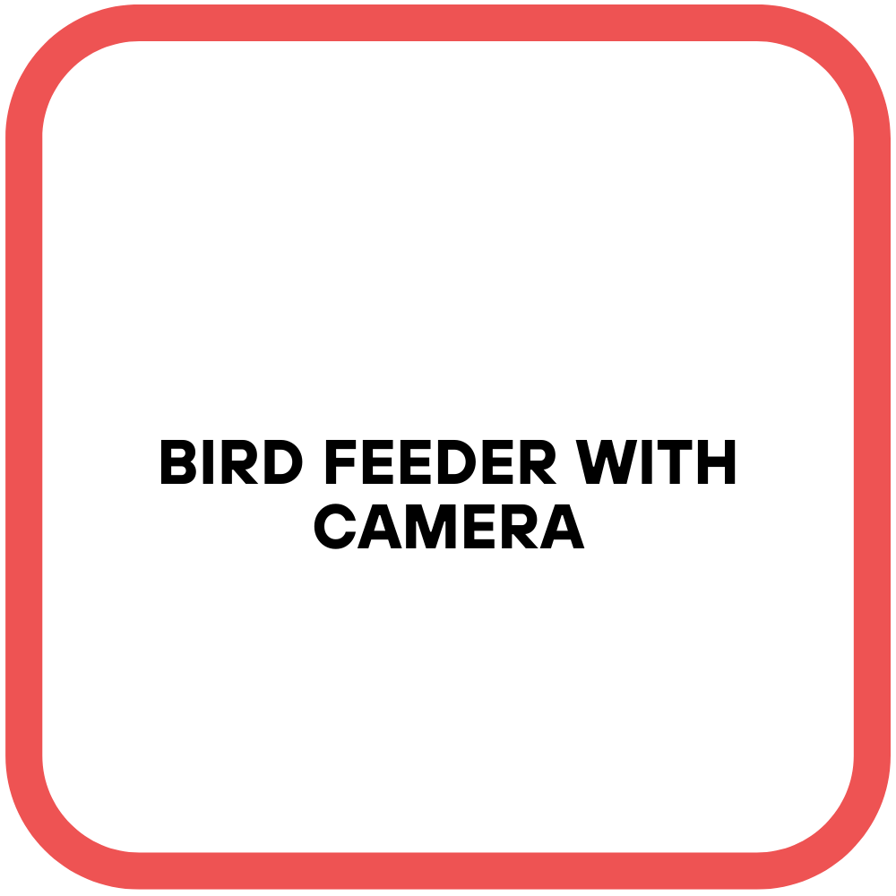 Bird Feeder With Camera