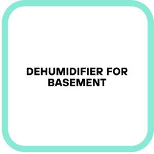 Dehumidifier for Basement