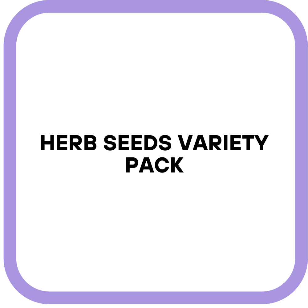 Herb Seeds Variety Pack