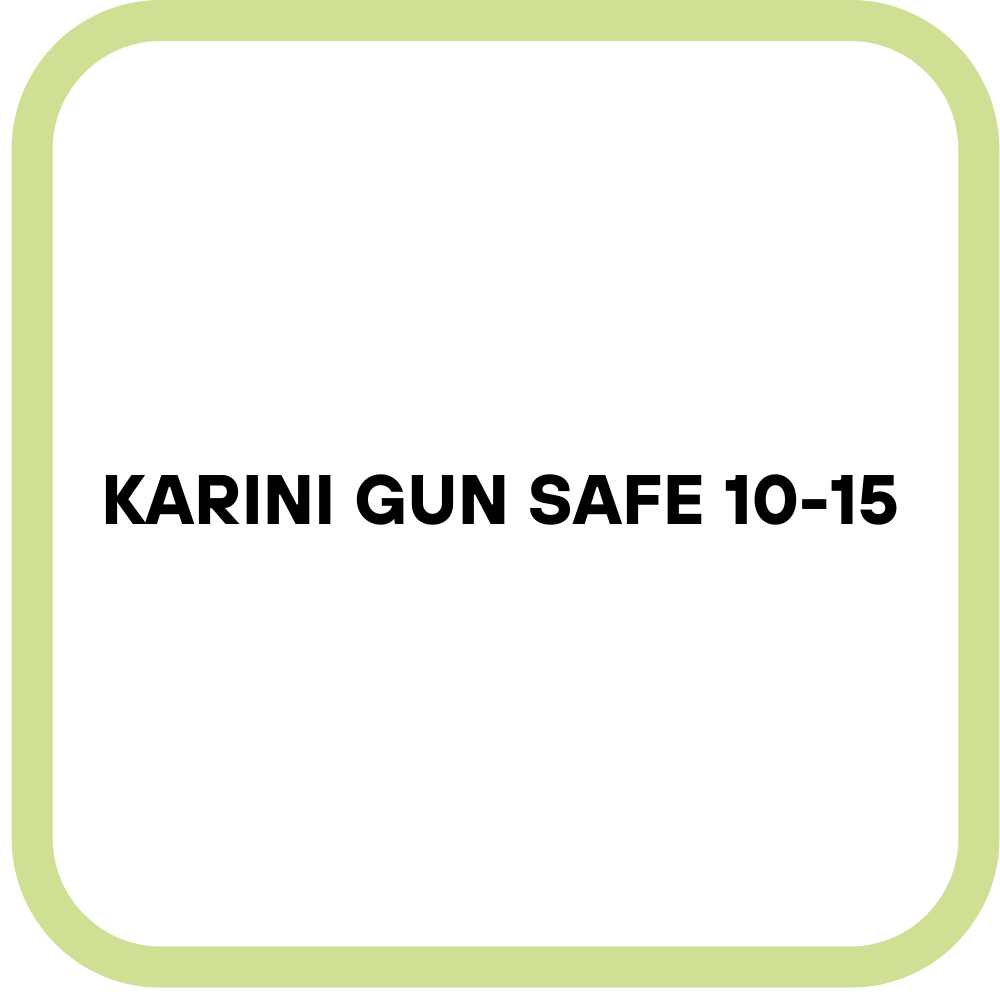 Karini Gun Safe 10-15