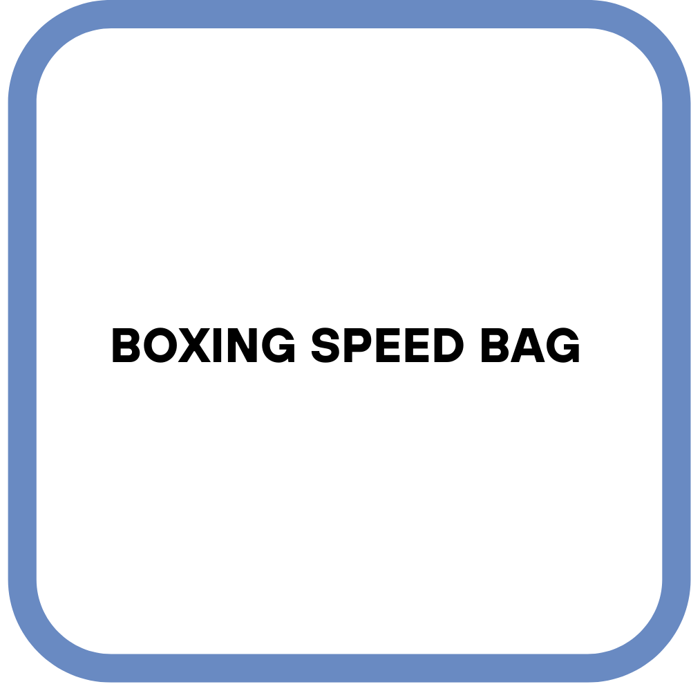 Boxing Speed Bag