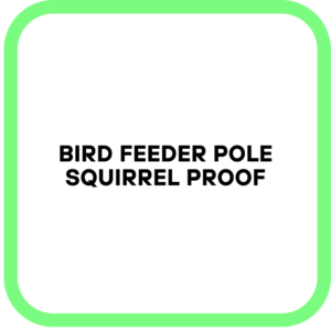 Bird Feeder Pole Squirrel Proof