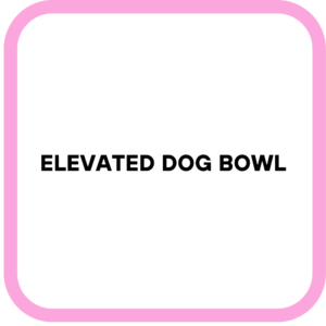 Elevated Dog Bowl
