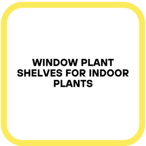 Window Plant Shelves for Indoor Plants