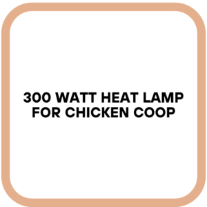 300 Watt Heat Lamp for Chicken Coop