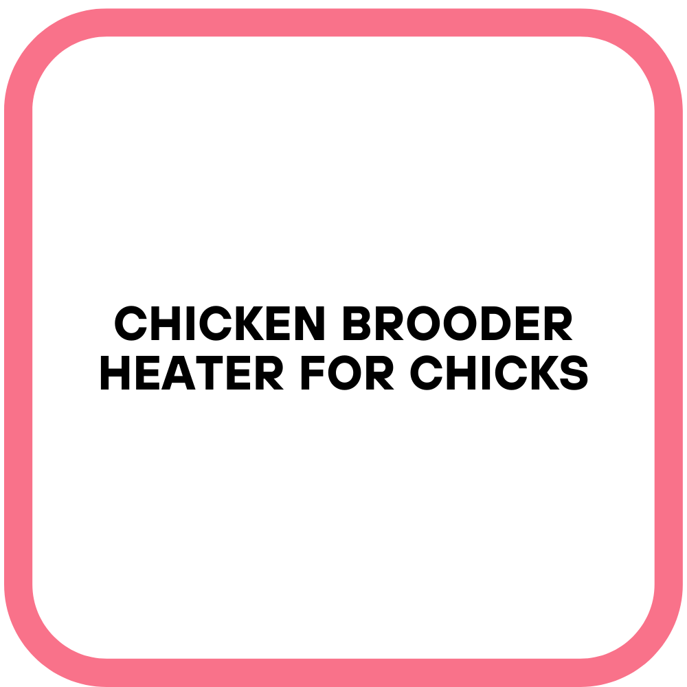 Chicken Brooder Heater for Chicks