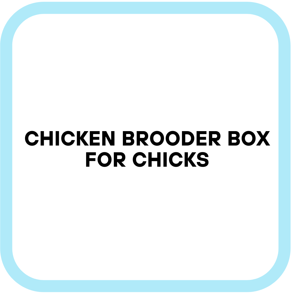 Chicken Brooder Box for Chicks