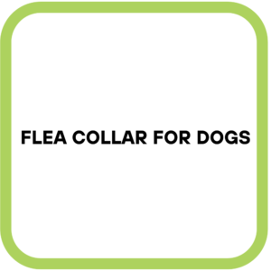 Flea Collar for Dogs